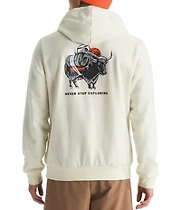 The North Face Evolution Vault Tri-Pack Graphic Hoodie