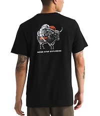 The North Face Evolution Vault Tri Pack Short Sleeve Graphic T-Shirt