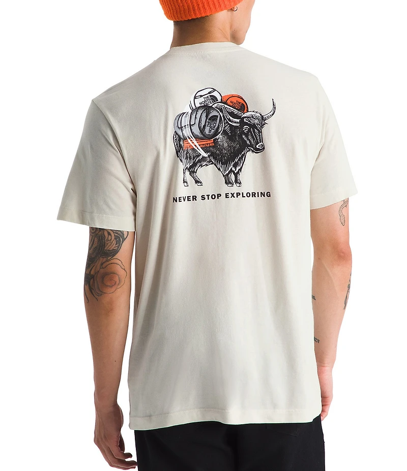 The North Face Evolution Vault Tri Pack Short Sleeve Graphic T-Shirt