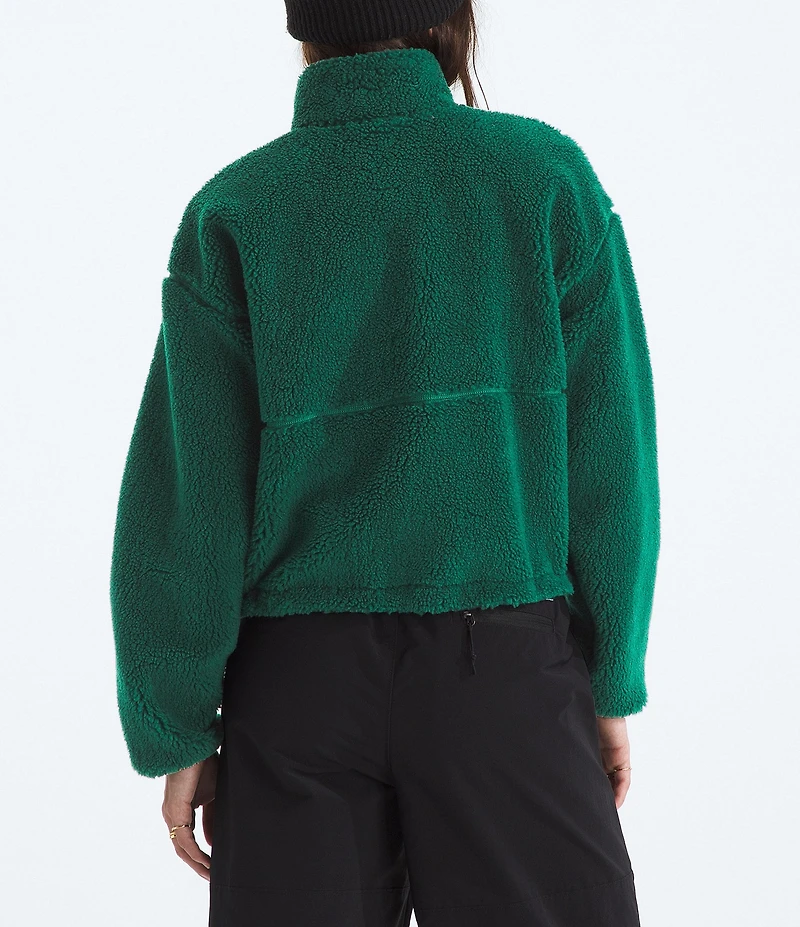 The North Face Extreme Pile 2-Fleece Stand Collar Pullover