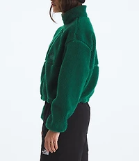 The North Face Extreme Pile 2-Fleece Stand Collar Pullover