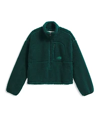 The North Face Extreme Pile 2-Fleece Stand Collar Pullover