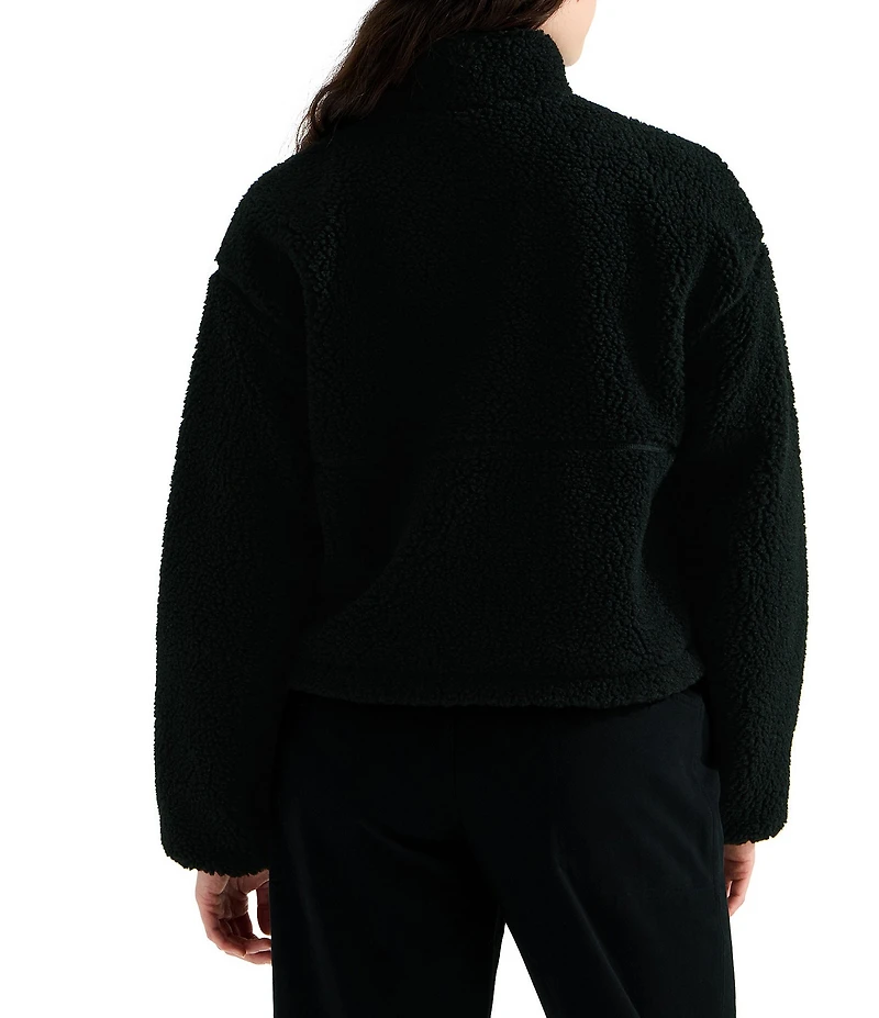 The North Face Extreme Pile 2 Fleece Stand Collar Quarter Zip Pullover