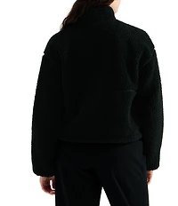The North Face Extreme Pile 2 Fleece Stand Collar Quarter Zip Pullover