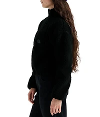 The North Face Extreme Pile 2 Fleece Stand Collar Quarter Zip Pullover