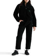 The North Face Extreme Pile 2 Fleece Stand Collar Quarter Zip Pullover