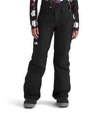 The North Face Freedom Insulated Waterproof Straight Leg Pants