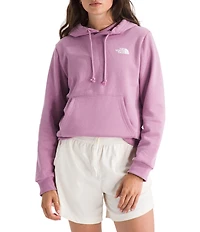 The North Face Glacier Drift Regular Pullover Hoodie
