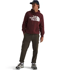 The North Face Half Dome Pullover Graphic Hoodie