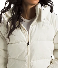The North Face Hydrenalite City Down Hooded Parka