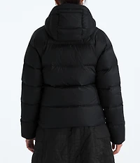 The North Face Hydrenalite City Hooded Zip Front Down Puffer Jacket