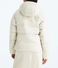 The North Face Hydrenalite City Hooded Zip Front Jacket