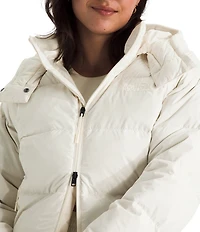 The North Face Hydrenalite City Hooded Zip Front Jacket