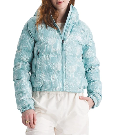 The North Face Hydrenalite Down Hoodie Zip Front Jacket