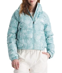 The North Face Hydrenalite Down Hoodie Zip Front Jacket