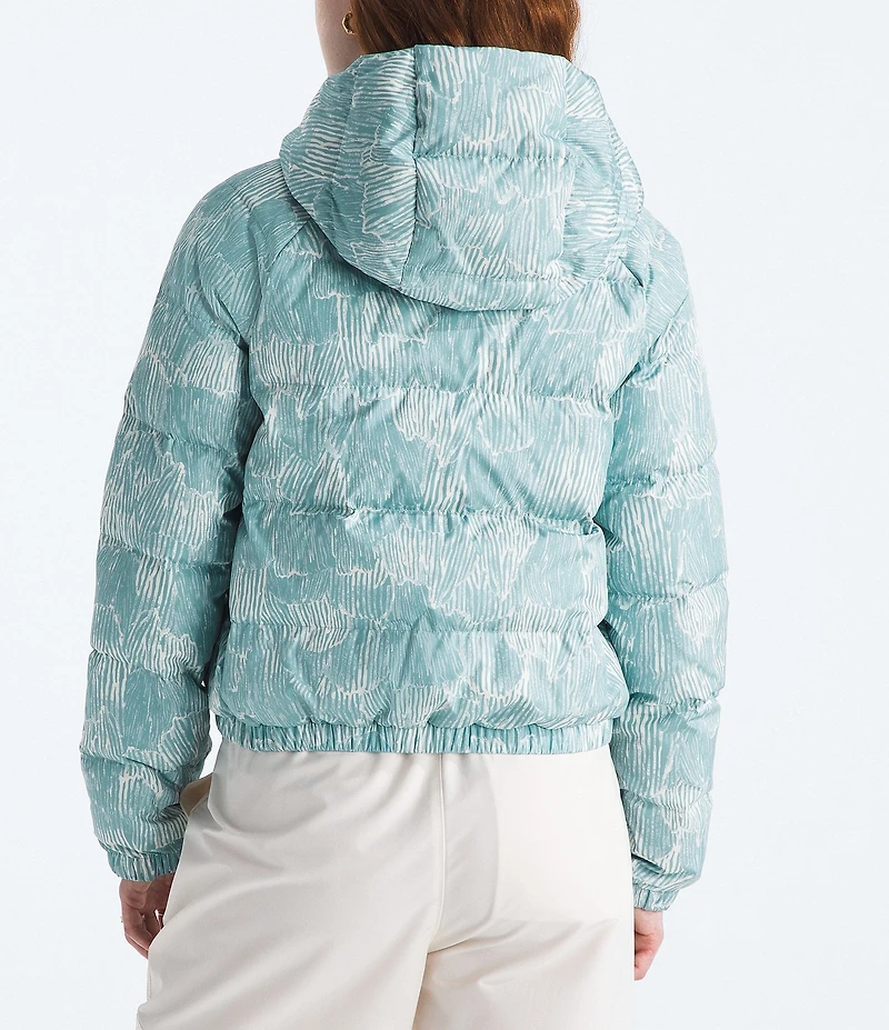 The North Face Hydrenalite Down Hoodie Zip Front Jacket