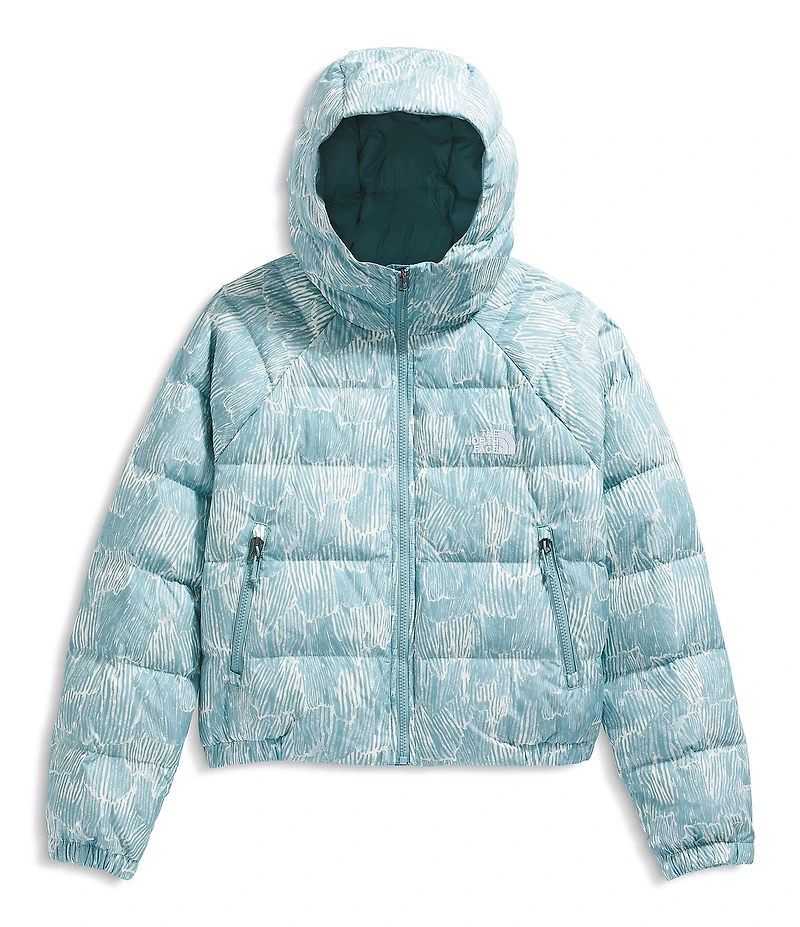 The North Face Hydrenalite Down Hoodie Zip Front Jacket