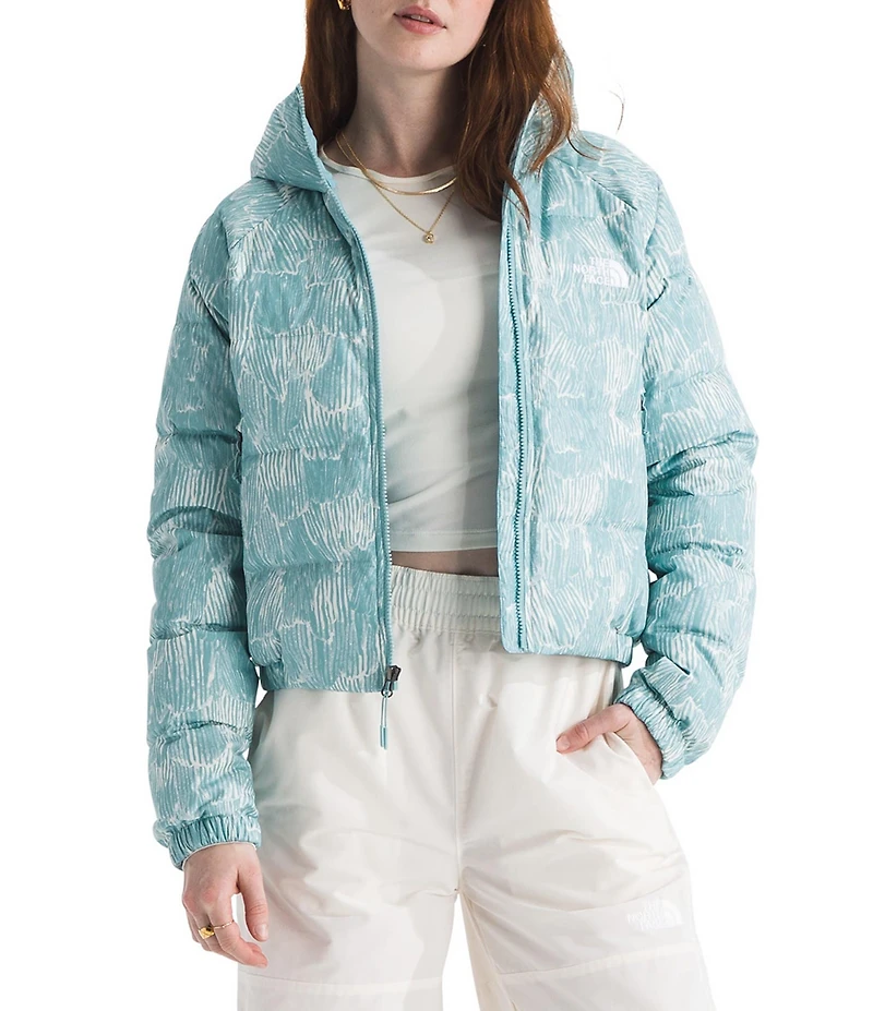 The North Face Hydrenalite Down Hoodie Zip Front Puffer Jacket