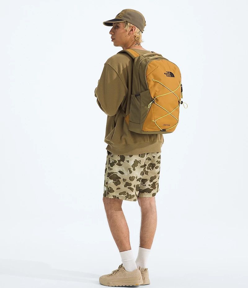 The North Face Jester Laptop Backpack
