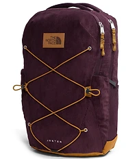 The North Face Jester Pro FlexVent Backpack
