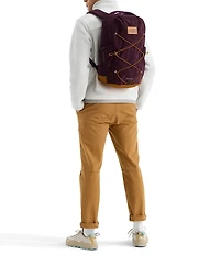 The North Face Jester Pro FlexVent Backpack