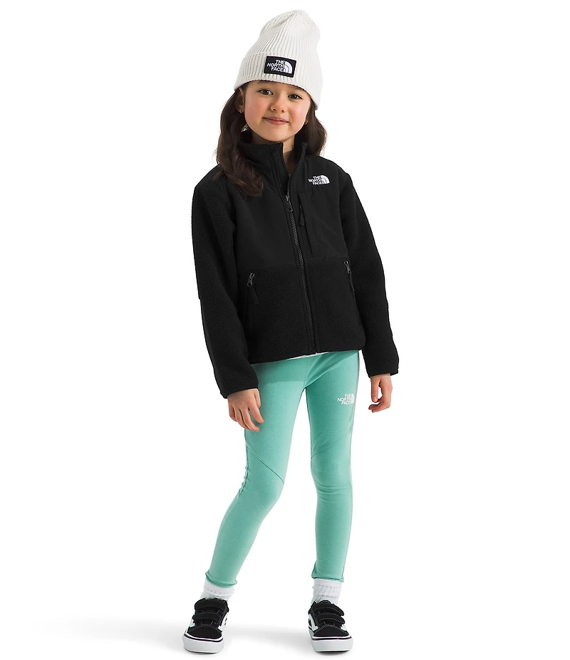 The North Face Little Boys Denali Jacket