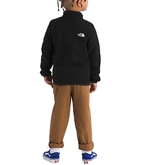 The North Face Little Boys Long Sleeve Glacier 1/4 Zip Pullover