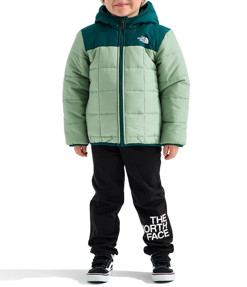 The North Face Little Kids Reversible Shasta Full Zip Hooded Jacket