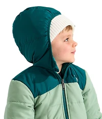 The North Face Little Kids Reversible Shasta Full Zip Hooded Jacket