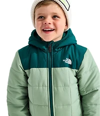 The North Face Little Kids Reversible Shasta Full Zip Hooded Jacket