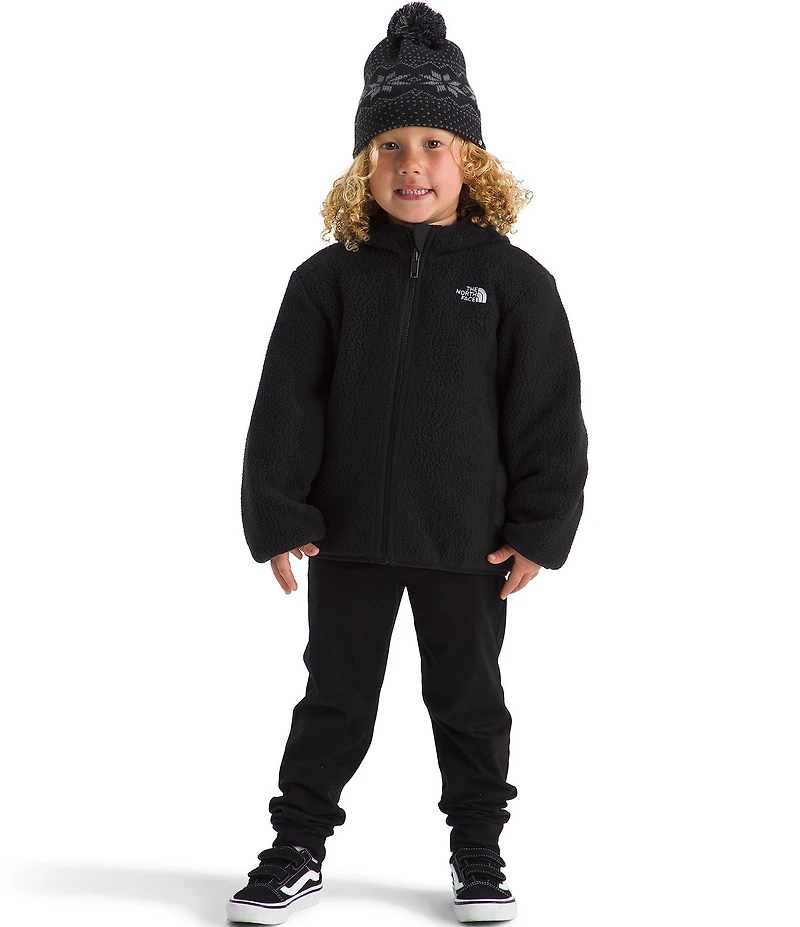 The North Face Little Boys Reversible Shasta Full Zip Hooded Jacket