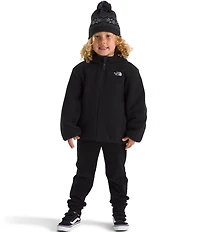 The North Face Little Boys Reversible Shasta Full Zip Hooded Jacket