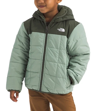 The North Face Little Boys Reversible Shasta Full Zip Hooded Jacket