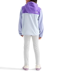The North Face Little Girls Glacier Full-Zip Hoodie