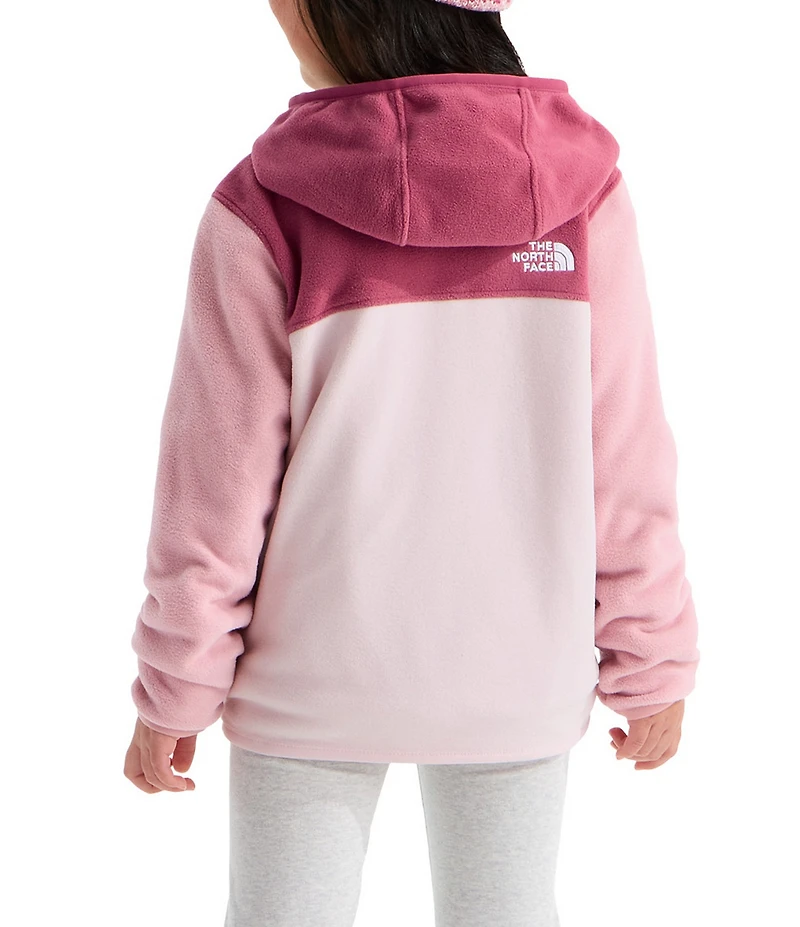 The North Face Little Kids Glacier Full Zip Hoodie