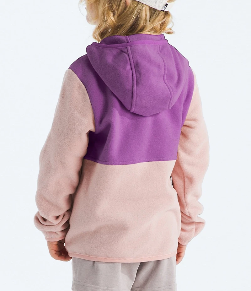The North Face Little Kids Glacier Full Zip Hoodie Jacket