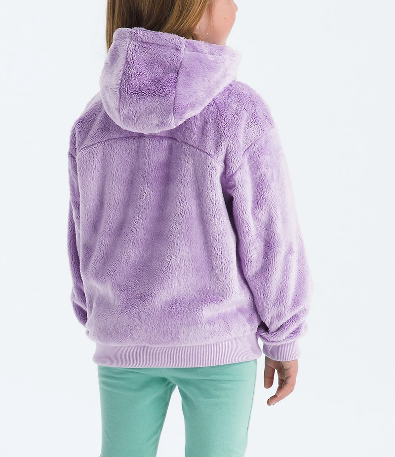 The North Face Little Kids Osito Full-Zip Fleece Hoodie Jacket