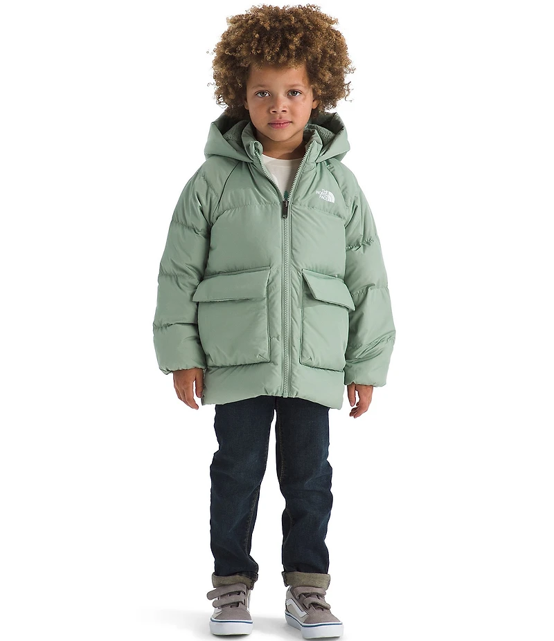 The North Face Little Kids North Down Fleece-Lined Ski Puffed Parka