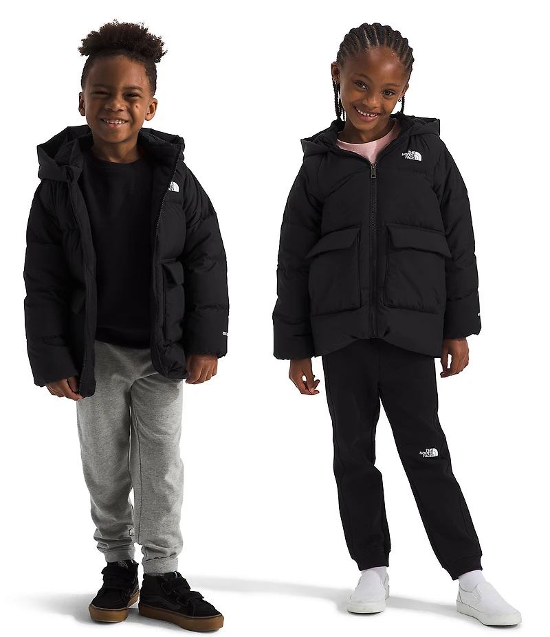 The North Face Little Kids North Down Fleece-Lined Ski Puffed Parka