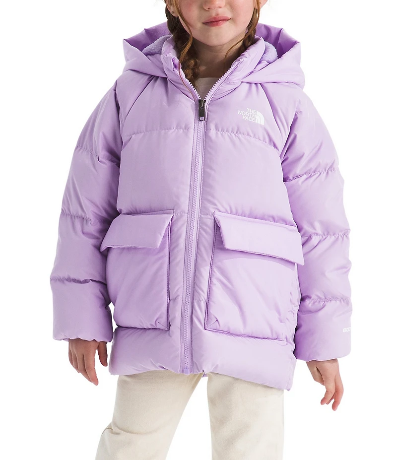 The North Face Little Kids North Down Fleece-Lined Ski Puffed Parka