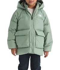 The North Face Little Kids North Down Fleece-Lined Ski Puffed Parka