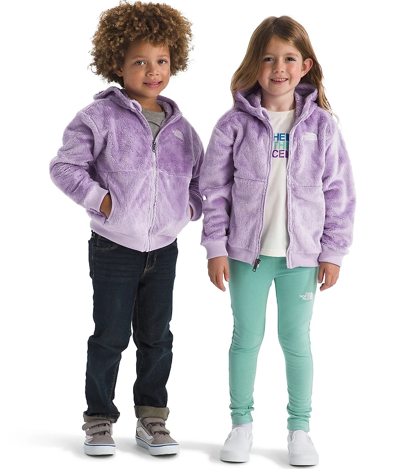 The North Face Little Kids Osito Full Zip Hoodie