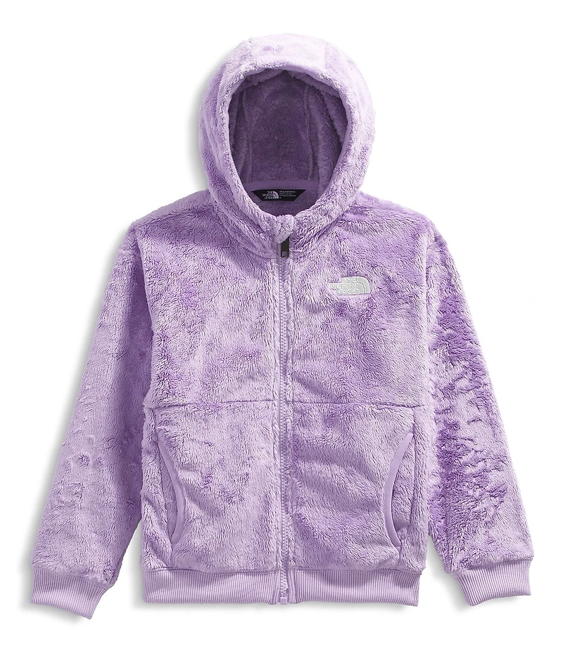 The North Face Little Kids Osito Full Zip Hoodie