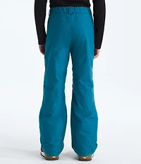 The North Face Boys Freedom Insulated Pants