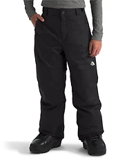 The North Face Little/Big Boys Freedom Insulated Pants