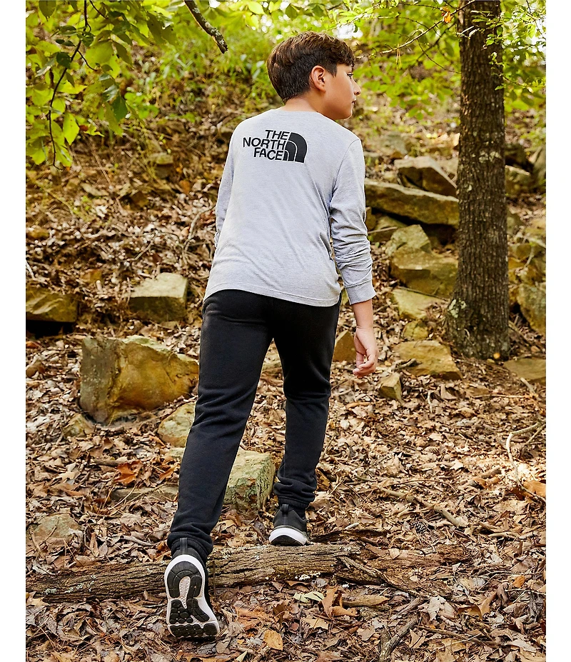 The North Face Little/Big Boys Evolution Half Dome Long Sleeve T-Shirt