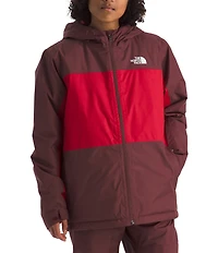 The North Face Little/Big Boys Long Sleeve Freedom Insulated Jacket