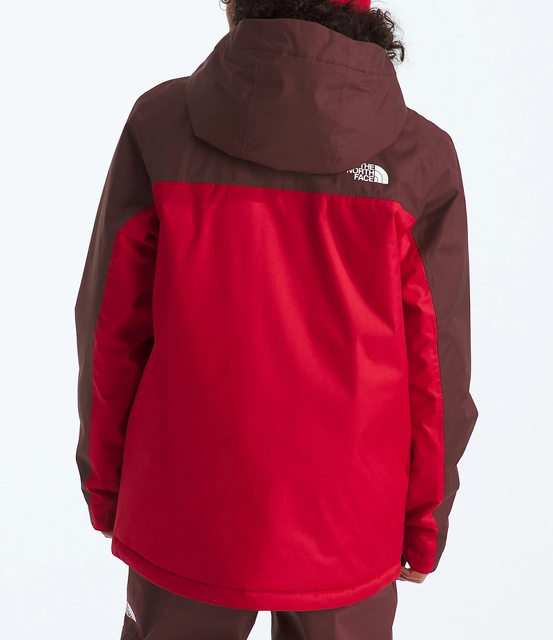 The North Face Little/Big Boys Long Sleeve Freedom Insulated Jacket