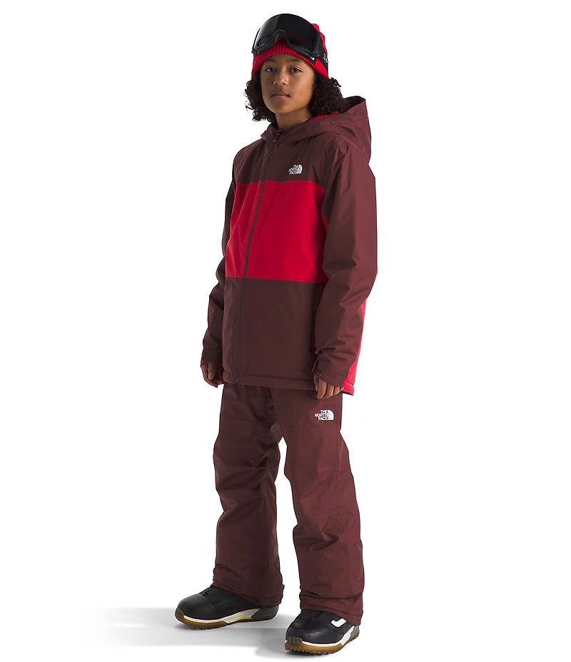 The North Face Little/Big Boys Long Sleeve Freedom Insulated Jacket
