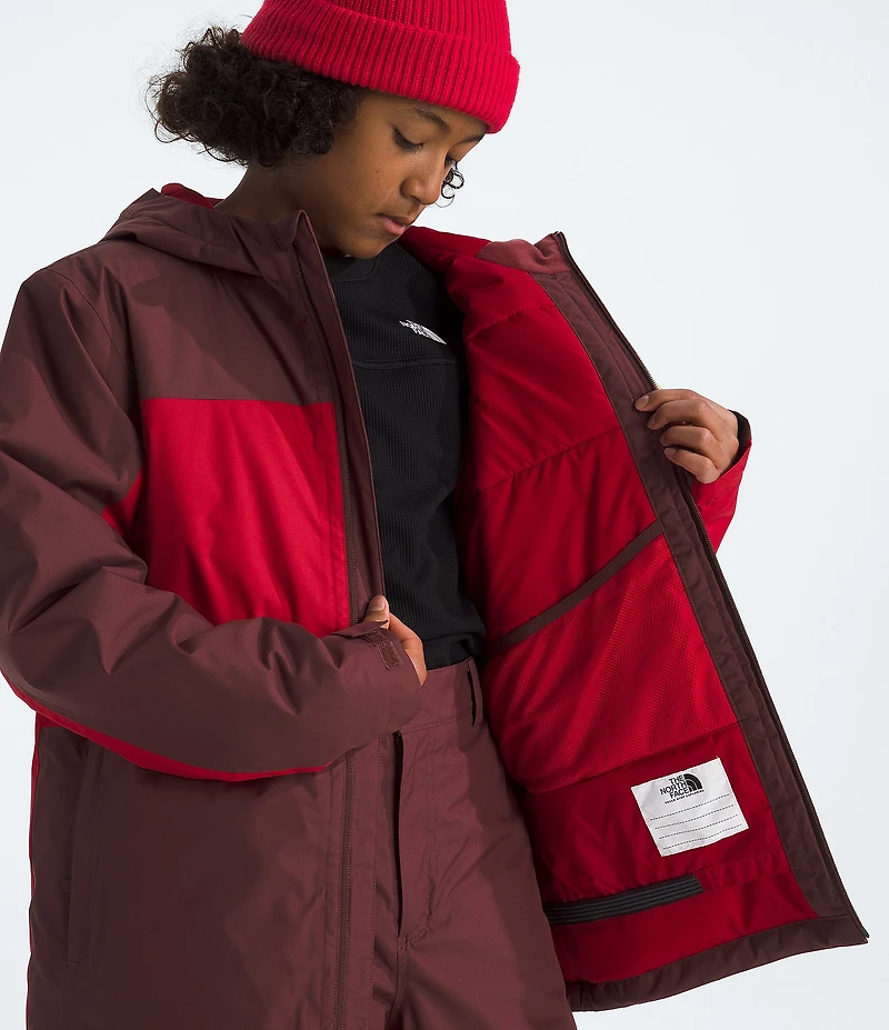 The North Face Little/Big Boys Long Sleeve Freedom Insulated Jacket